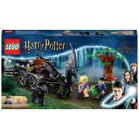 76400 LEGO® HARRY POTTER™ Etui Hogwarts avec étagères