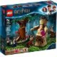 Lego Harry Potter - La Forêt Interdite : La Rencontre D'ombrage - 75967