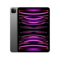 iPad Pro 11 (2022) WiFi - 128 Go - Gris Sidéral