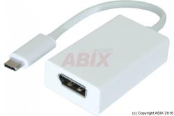 Connectique Informatique - GENERIQUE - Adaptateur USB 3.1 type C vers DisplayPort