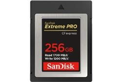 Cartes CompactFlash Sandisk CF EXPRESS EXTREME PRO 256Go