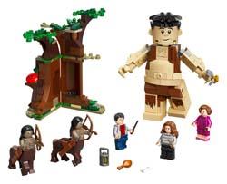 LEGO Harry Potter 75967 La Forêt interdite : la rencontre d