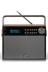 Radio Sharp DR-P350