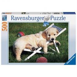 Ravensburger - Puzzle 500 pièces - Golden Retriever