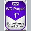 WESTERN DIGITAL WD Purple 1To SATA 64Mo (WD10PURZ)