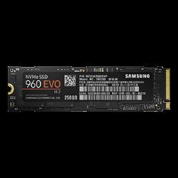 Samsung SSD 960 EVO NVMe M.2 250 Go - MZ-V6E250BW