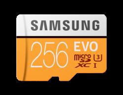 Samsung MB-MP256GA EVO Carte microSD 100 Mo/s (avec adaptateur SD) 256 Go