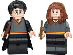 LEGO Harry Potter 76393 Harry Potter et Hermione Granger
