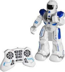 Robot Smart Bot