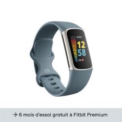 Bracelet connecté Fitbit Charge 5 bleu gris