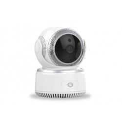 Conceptronic Daray Caméra de sécurité IP Intérieure Tourelle 1920 x 1080 pixels
